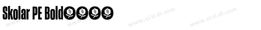Skolar PE Bold字体转换